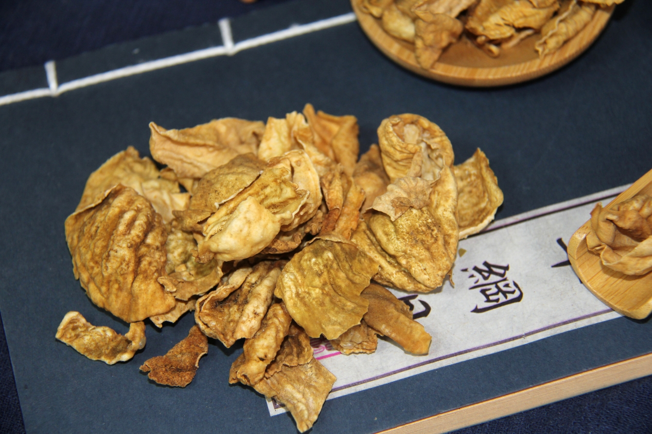瑞龍中藥大講堂|雞內(nèi)金 瑞龍中藥大講堂|雞內(nèi)金